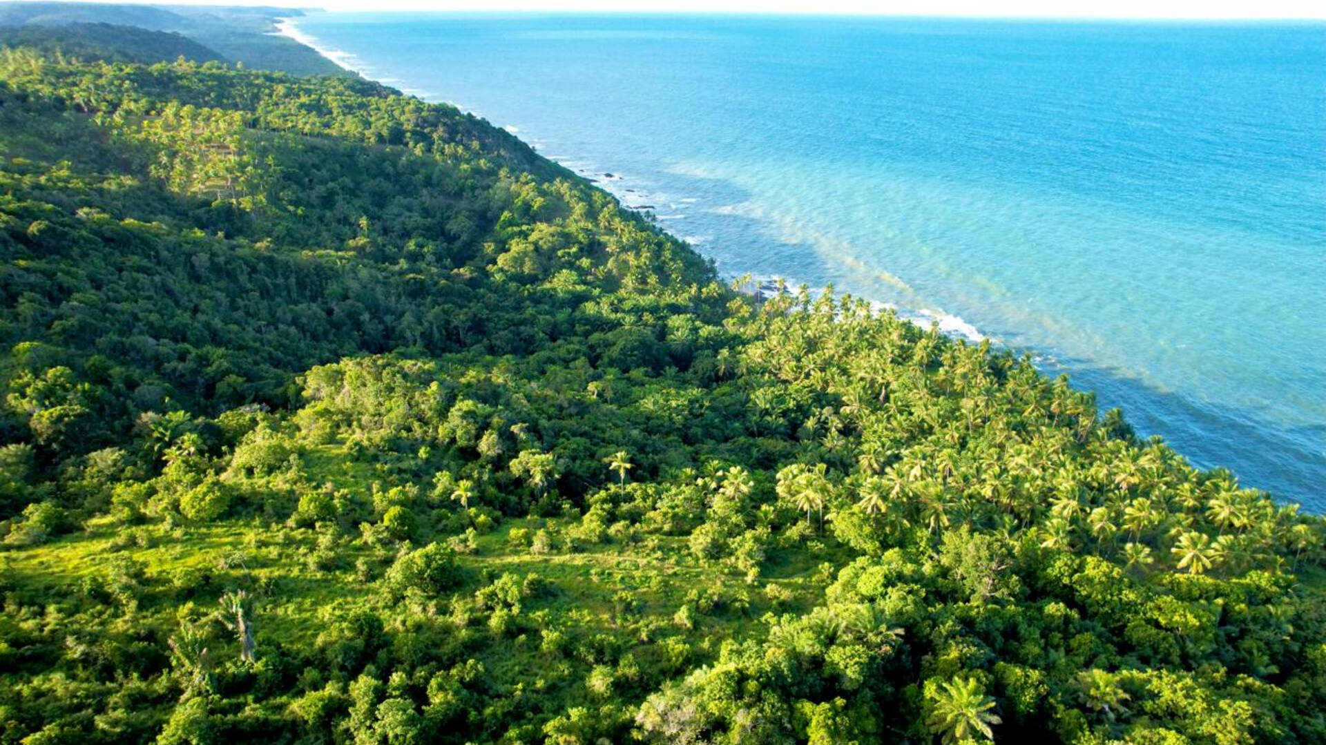 Terrenos com vista para o mar - Serra Grande