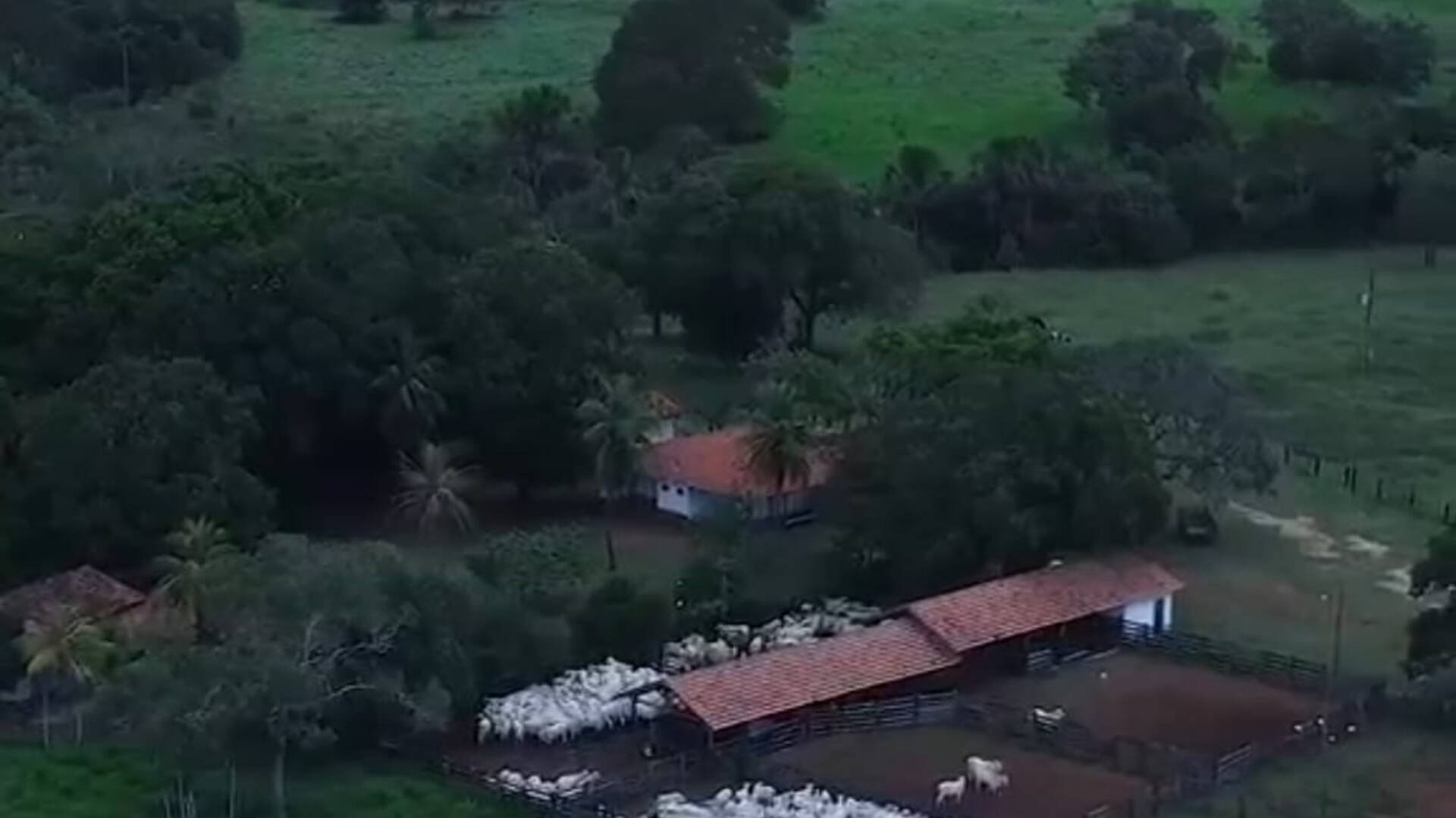 Fazenda produtiva no Sul da Bahia – 395 hectares