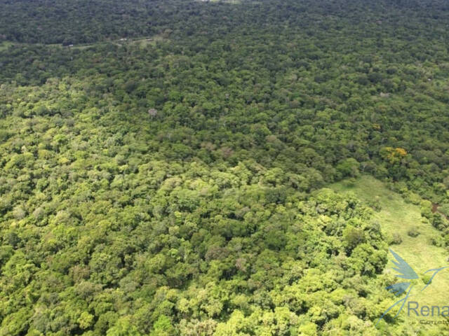 #25 - Chácara para Venda em Ilhéus - BA