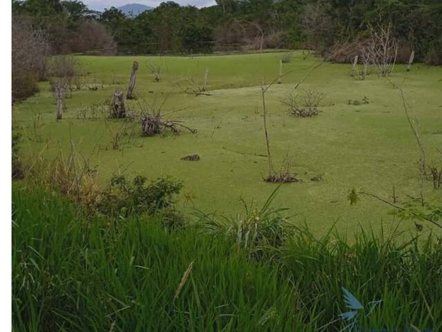 #30 - Chácara para Venda em Itabuna - BA