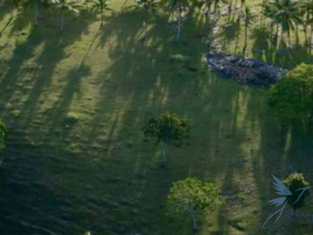 #31 - Área para Venda em Uruçuca - BA