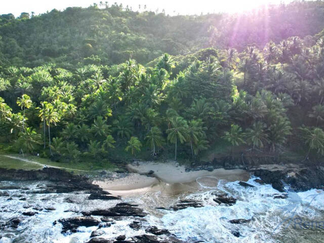 #31 - Área para Venda em Uruçuca - BA