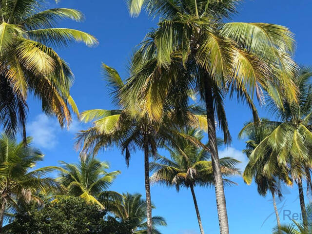 #32 - Casa para Venda em Camamu - BA