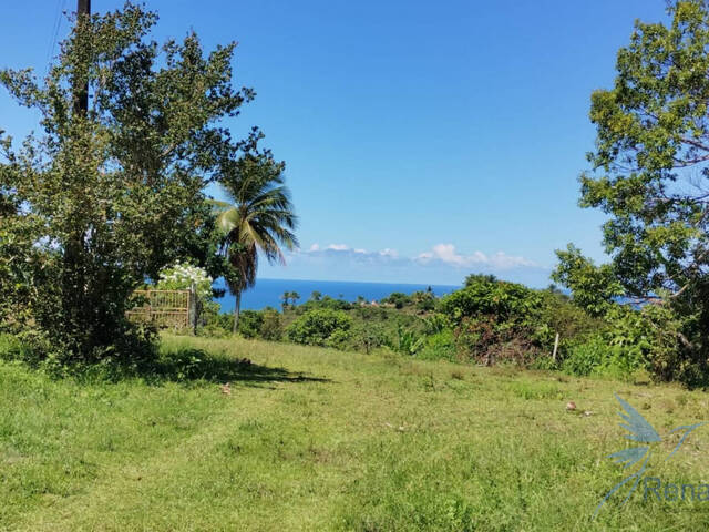 #34 - Chácara para Venda em Ilhéus - BA