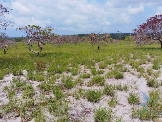 #35 - Área para Venda em Camamu - BA